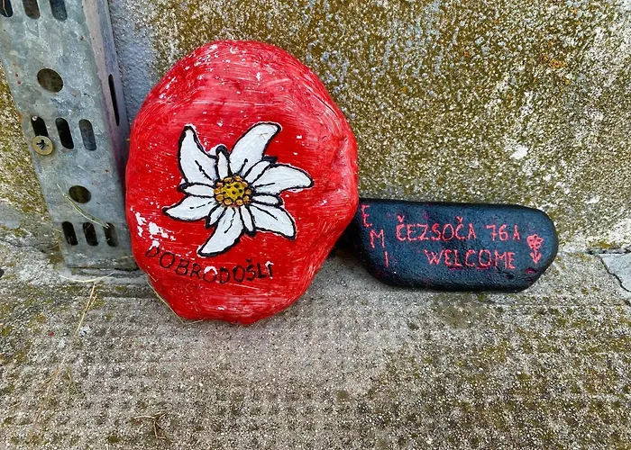 Apartma Emi דירה בובק